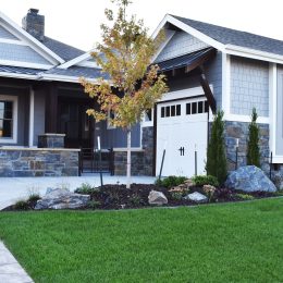 landscape design