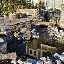 landscape design