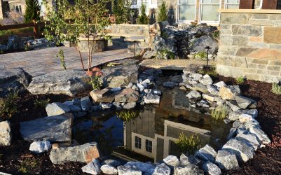 landscape design