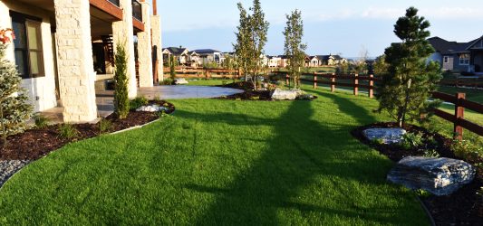 landscape design