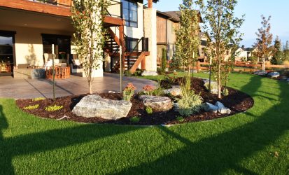 landscape design