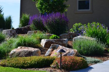 landscape design