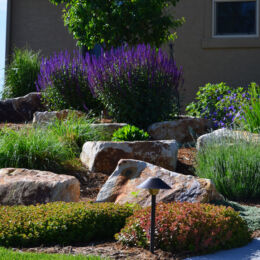 landscape design