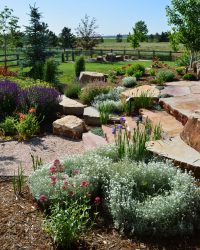 landscape design