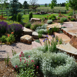landscape design
