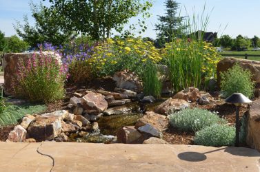 landscape design