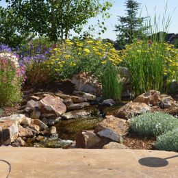 landscape design