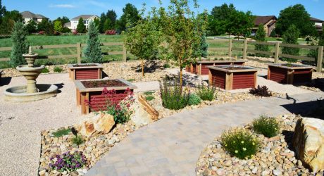 landscape design