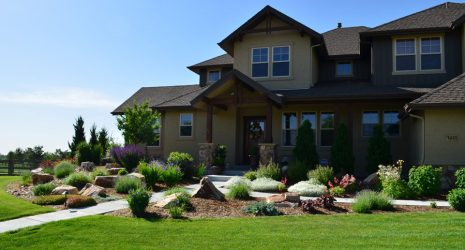 landscape design