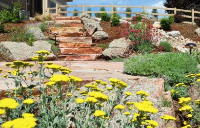 landscape design