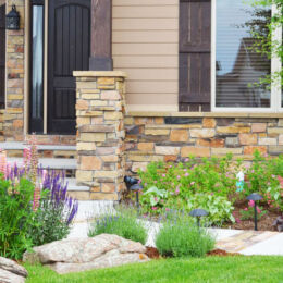 landscape design