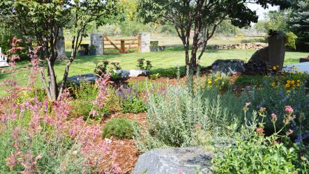 Backyard Landscape With Flowers in Fort Collins, CO