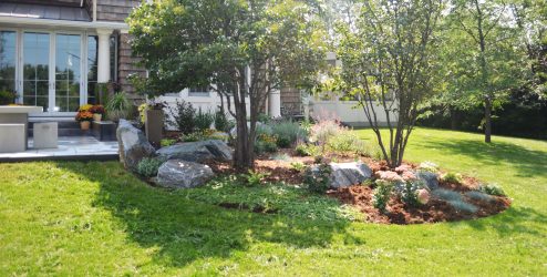landscape design
