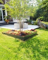 Custom Backyard Landscape Contractors Fort Collins