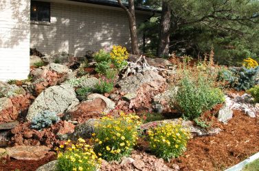 landscape design