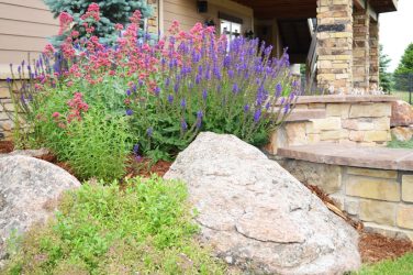 landscape design