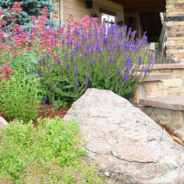 landscape design