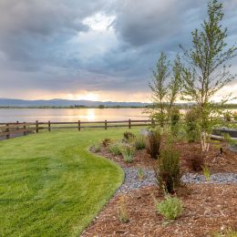 landscape design