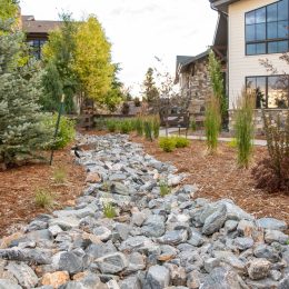 landscape design