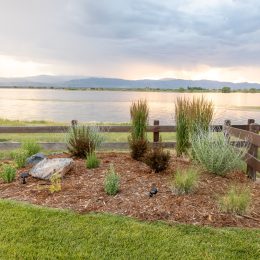 landscape design