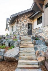 landscape design
