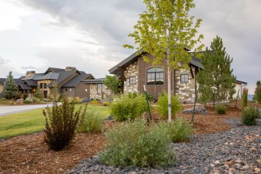 landscape design