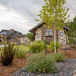landscape design