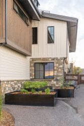 landscape design