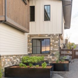 landscape design