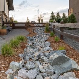 landscape design