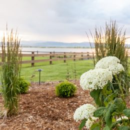 landscape design