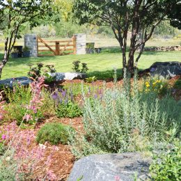 landscape design