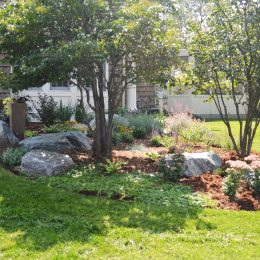 landscape design