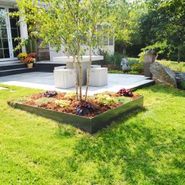 landscape design