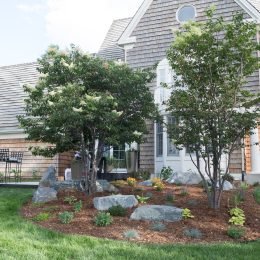 landscape design