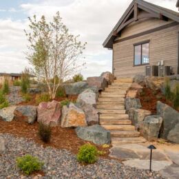 landscape design