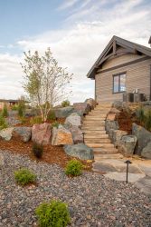 landscape design