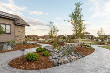 landscape design