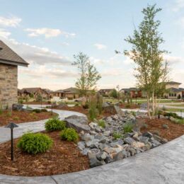 landscape design