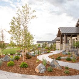 landscape design