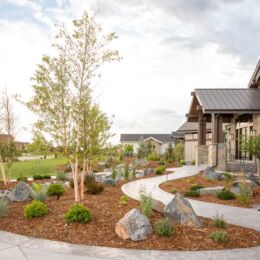landscape design