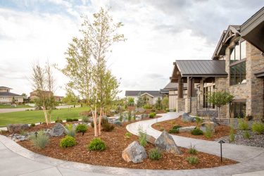 landscape design