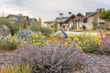 landscape design