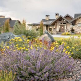 landscape design